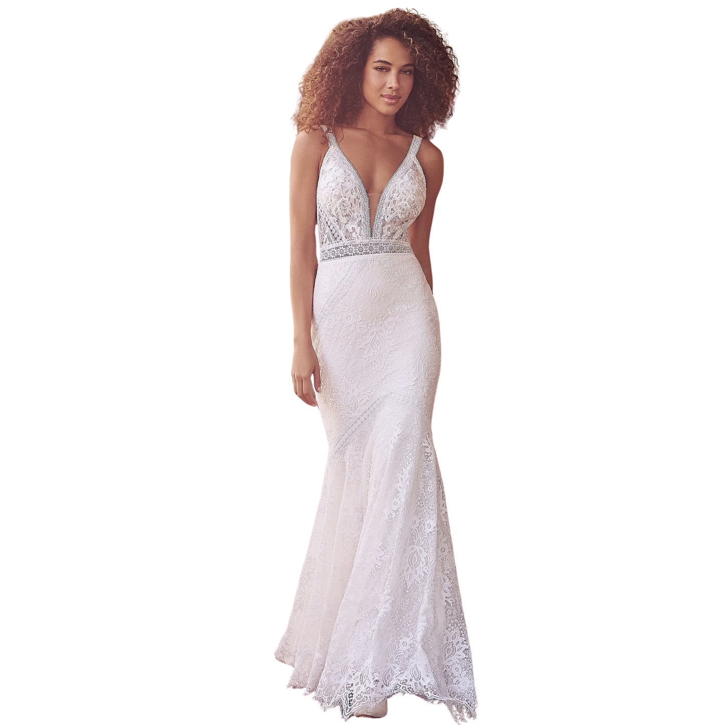 Lillian West 66136 Allover Lace Gown – Size 6 (Sample)